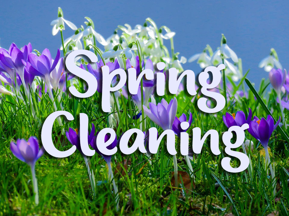 spring cleans